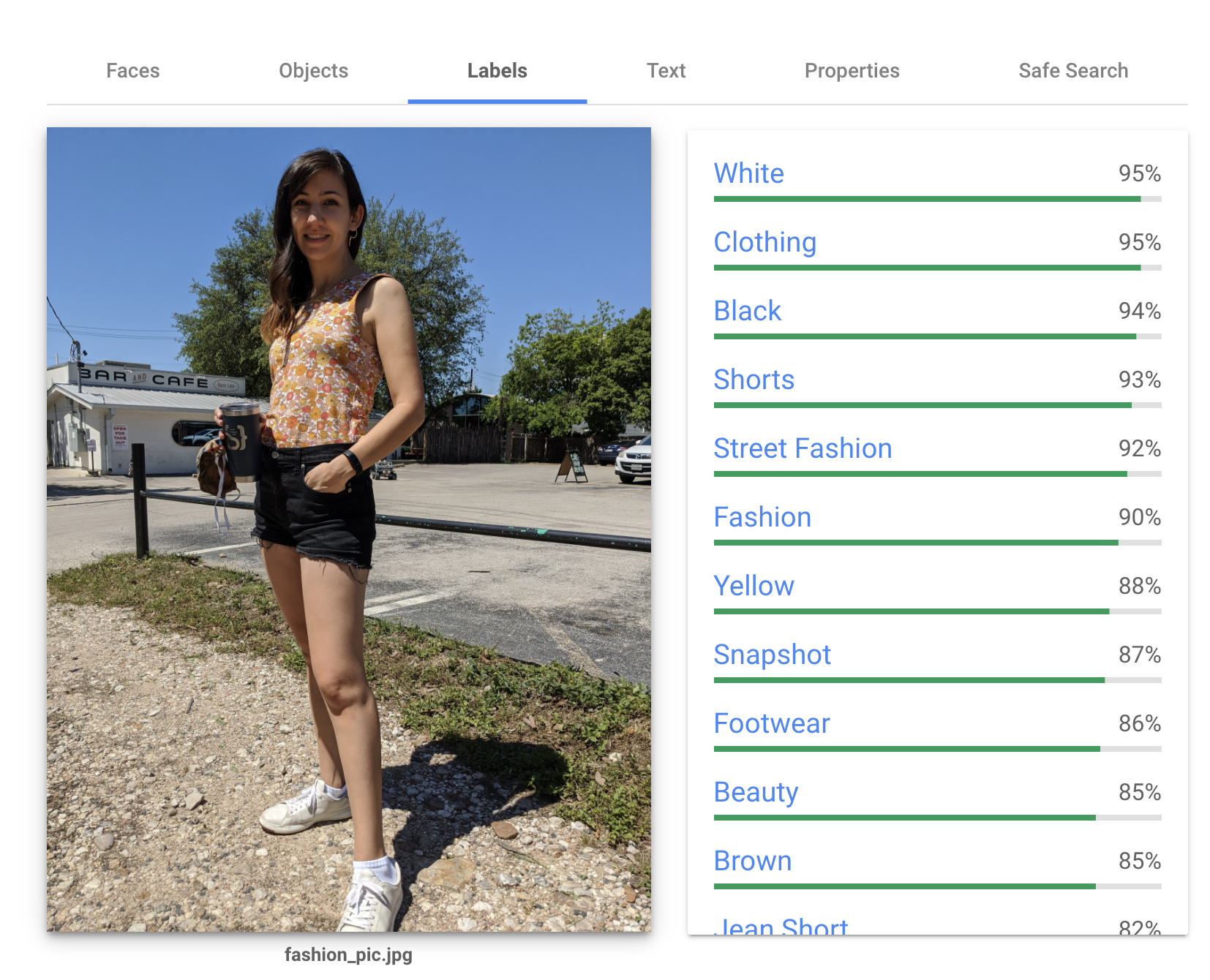 Screenshot of the Vision API analyzing an outfit