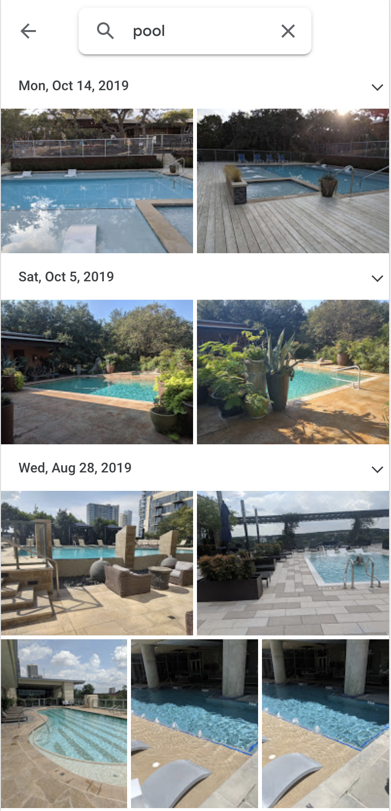 Google Photos Pool Search The Google Photo App showing results for the query "pool".