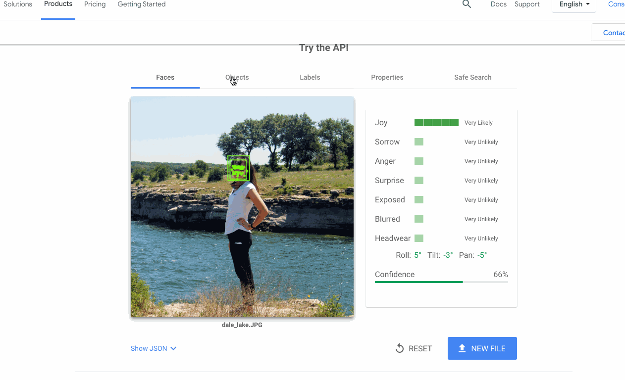 Screenshot of Google Cloud Vision API
